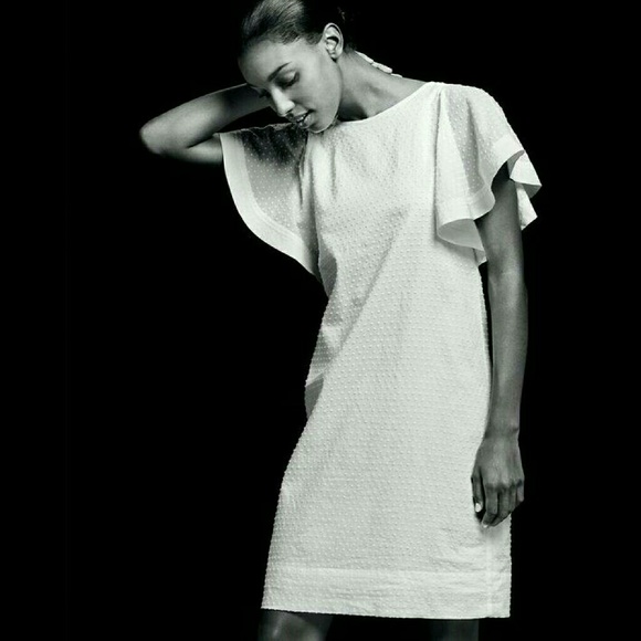 J Crew Swiss Dot Flounce Sleeve Dress - Picture 4 of 4